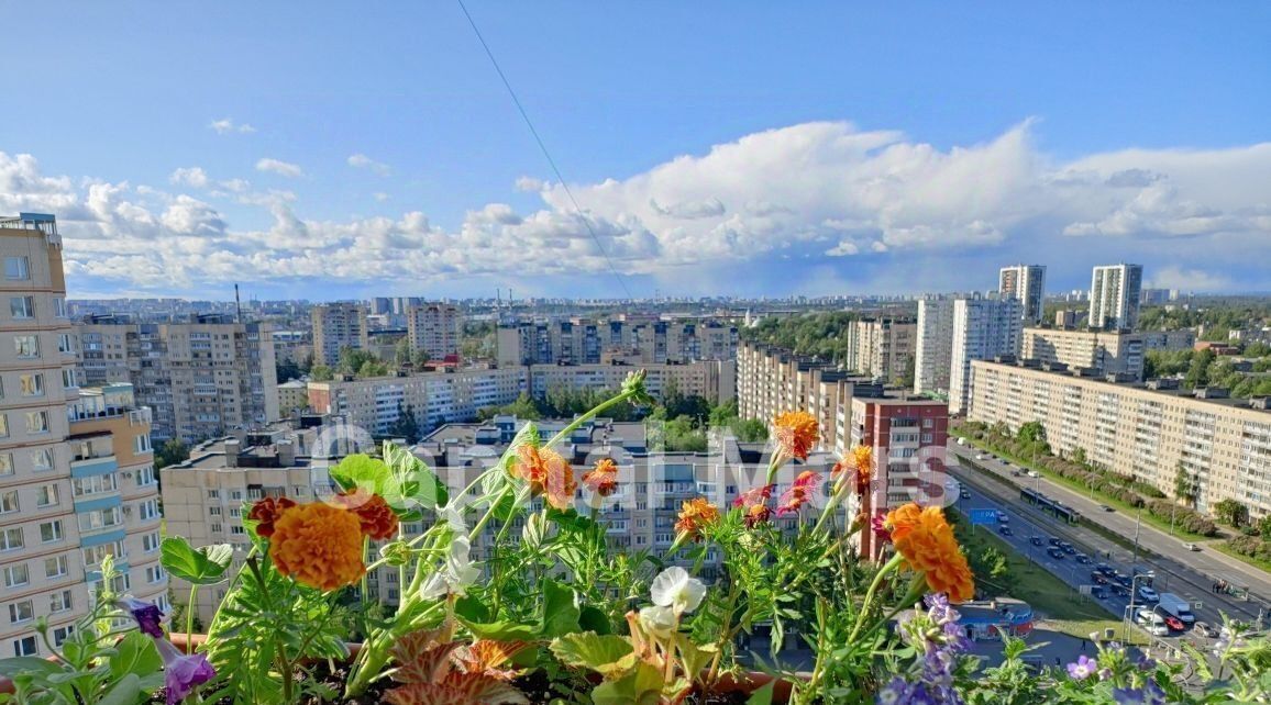 квартира г Санкт-Петербург метро Ладожская пр-кт Наставников 36к/2 фото 6