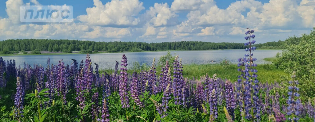 дом р-н Петушинский д Чуприяново ул Зеленая муниципальное образование Петушинское фото 3