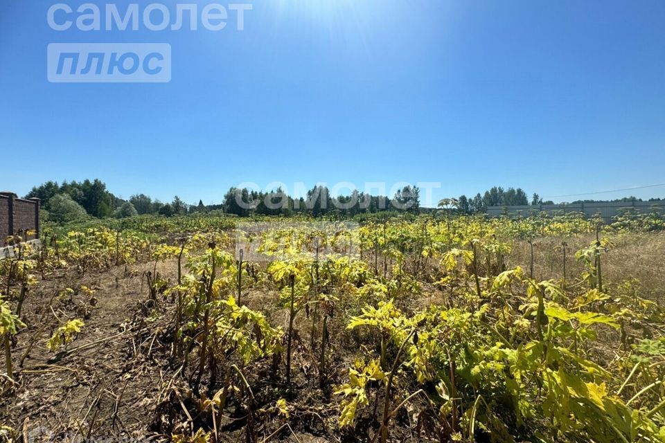 земля городской округ Солнечногорск село Исаково фото 2