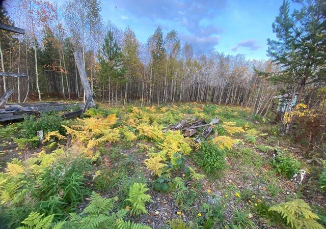 земля ул Сосновая Марковское муниципальное образование, Маркова фото