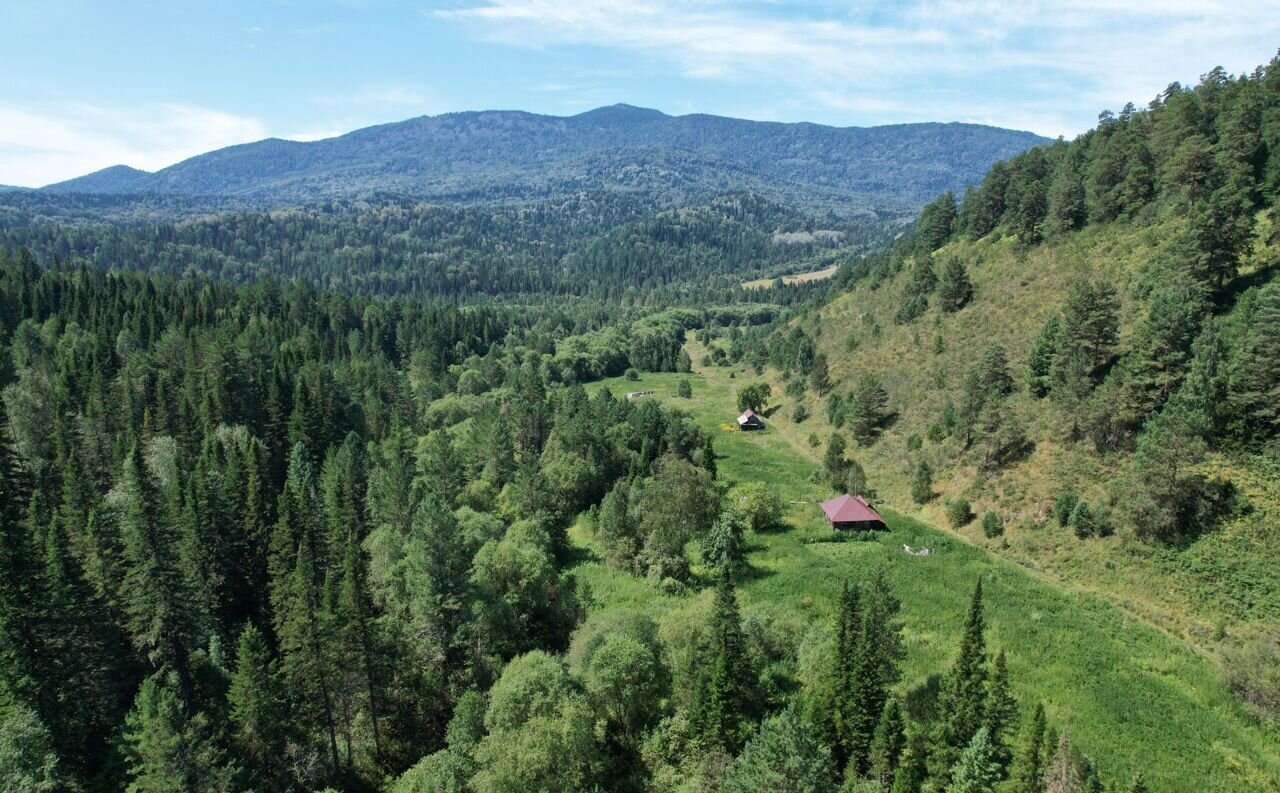 земля р-н Чойский с Кара-Торбок Горно-Алтайск фото 5