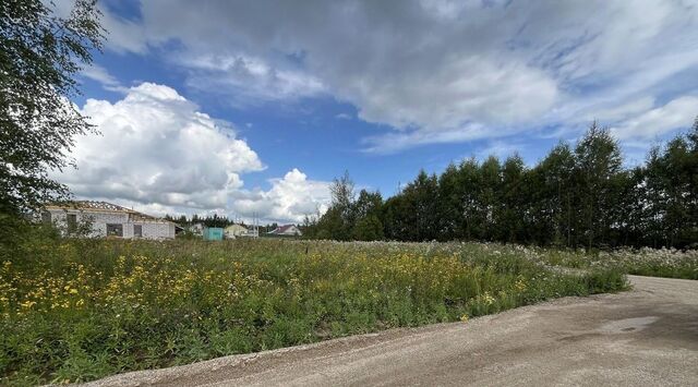 земля с Ям Переславль-Залесский городской округ фото