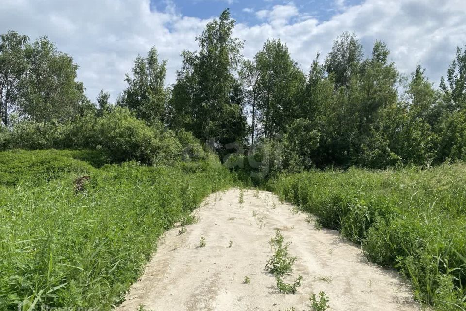 земля г Тюмень снт Поле чудес-2 ул Садовая городской округ Тюмень фото 4