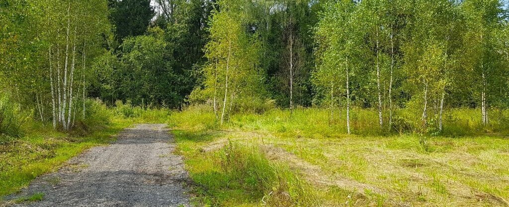 земля городской округ Наро-Фоминский д Латышская Апрелевка фото 24