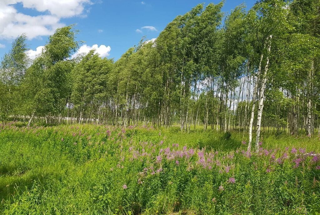 земля городской округ Дмитровский д Целеево Лобня фото 23