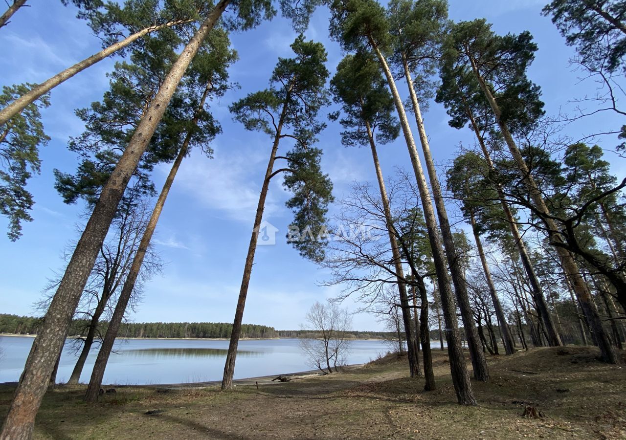 земля р-н Бессоновский п Подлесный ул Центральная 2а Пенза фото 1