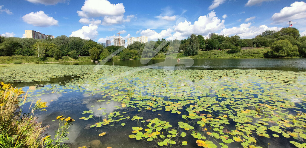 квартира г Москва Очаково ул Озёрная 19к/2 фото 30