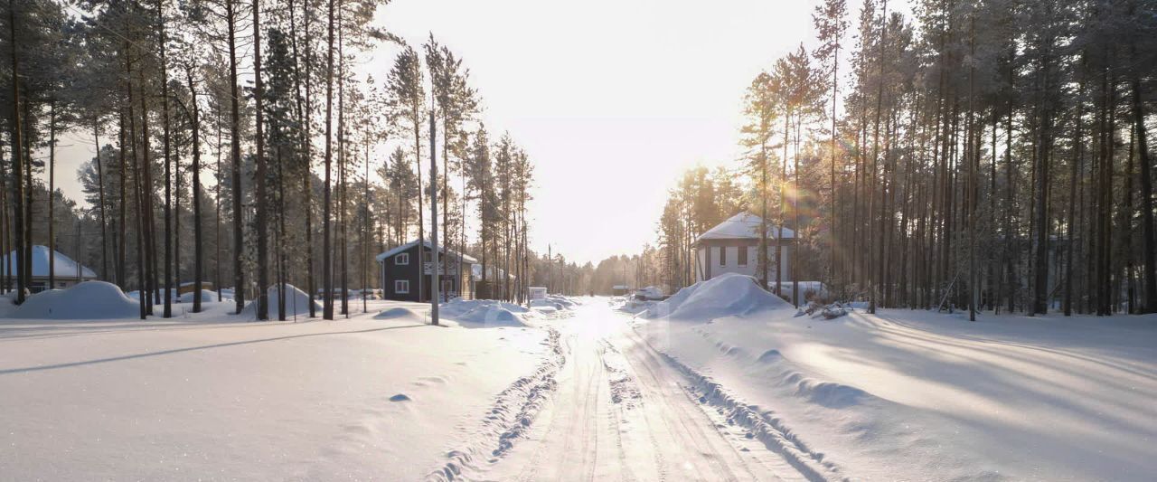 земля г Ханты-Мансийск снт Маяк ул. Аничковская, Сургут фото 10