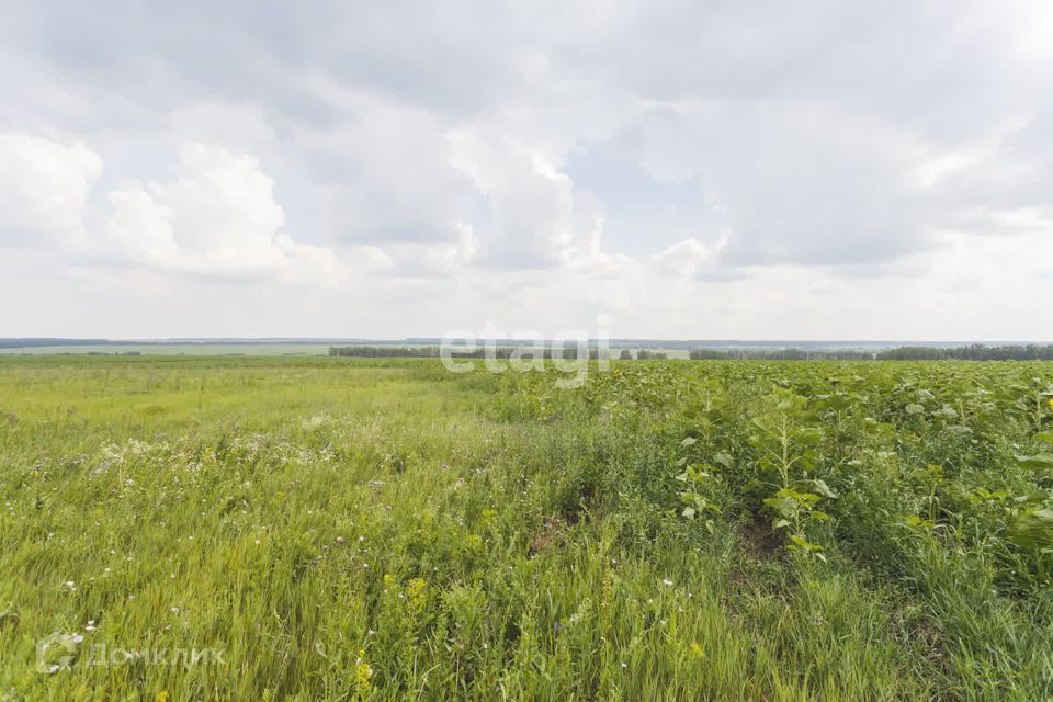 земля р-н Уфимский село Таптыково фото 4