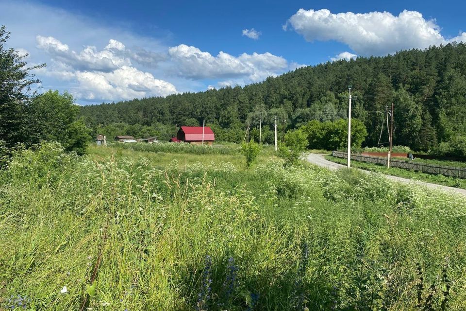 земля р-н Алтайский с Нижнекаянча ул Заводская фото 3