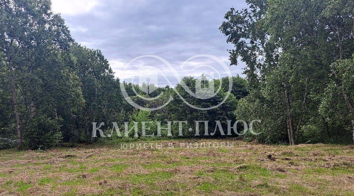 земля г Южно-Сахалинск с Елочки ДНТ, Корсаковский городской округ фото 4