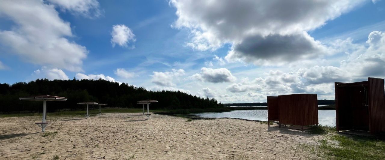 земля р-н Чкаловский д Гребнево Чкаловск городской округ фото 12