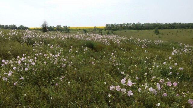 Круглянское сельское поселение, Колодезный фото