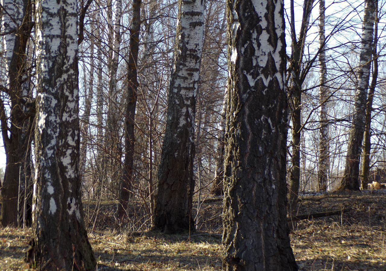 земля р-н Заокский с Яковлево фото 4