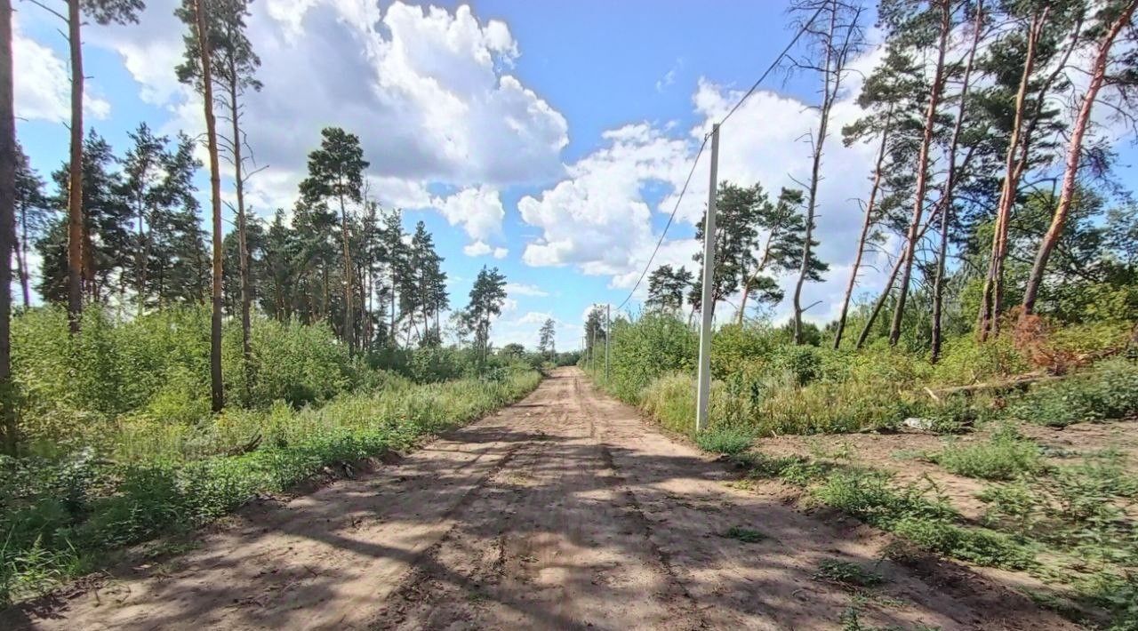 земля р-н Рамонский с Новоживотинное ул Шоссейная фото 9