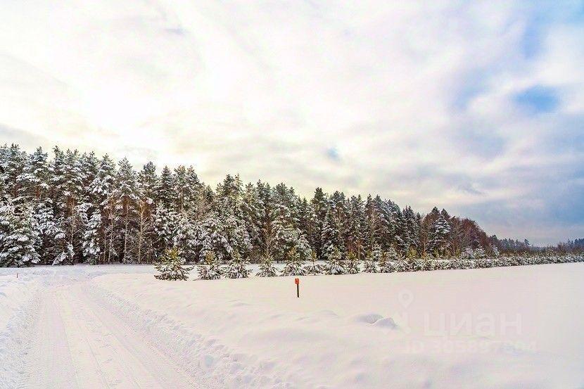 земля городской округ Ступино д Шелково фото 12