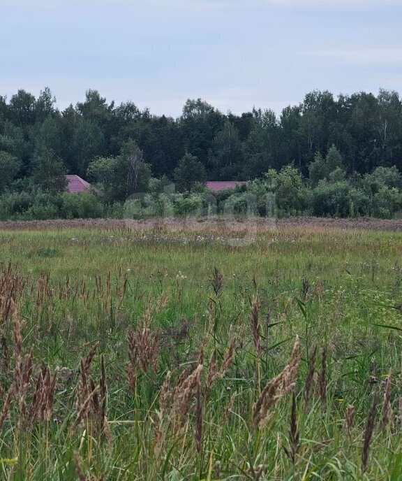 земля р-н Тюменский п Новотарманский ул Дачная фото 3