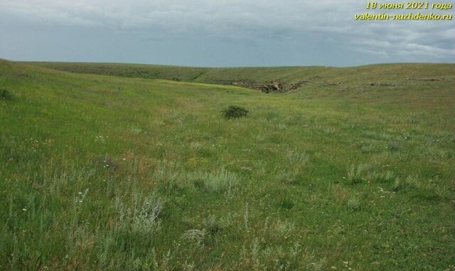 земля Русаковское сельское поселение, Белогорск фото