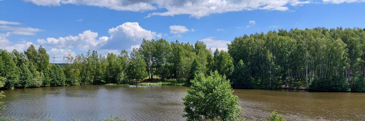 земля р-н Богородский д Килелей улица Карла Маркса, Буревестник фото 11