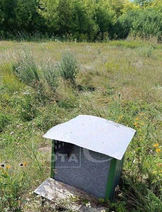 дом р-н Нижнедевицкий с Верхнее Турово ул Победы 35 Верхнетуровское с/пос фото 13