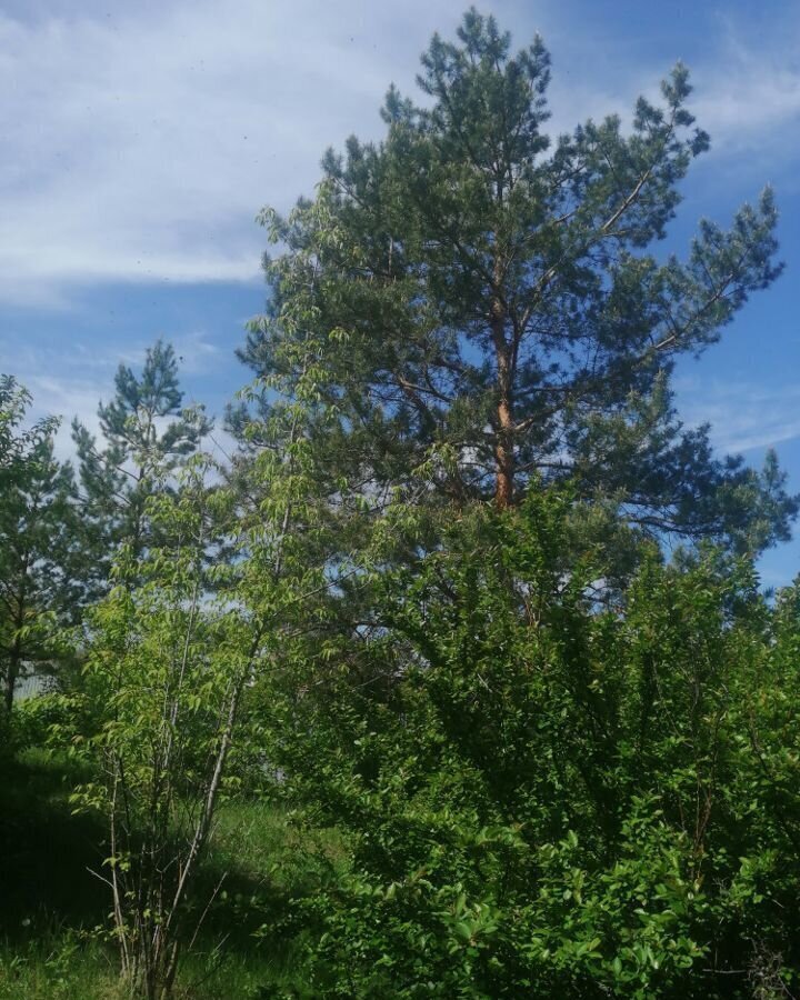 земля р-н Волжский с Курумоч сельское поселение Курумоч, в районе фабричного гаража, левая сторона, Тихая ул, Массив фото 9