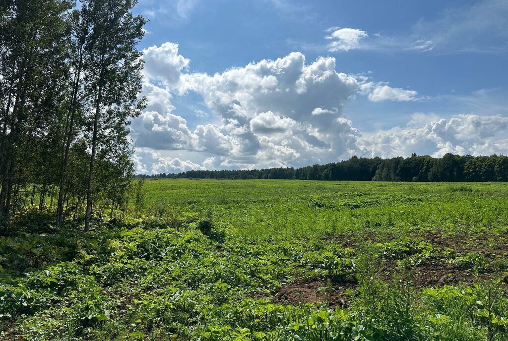 земля городской округ Дмитровский коттеджный поселок «Сорочаны» городской округ Клин фото 5