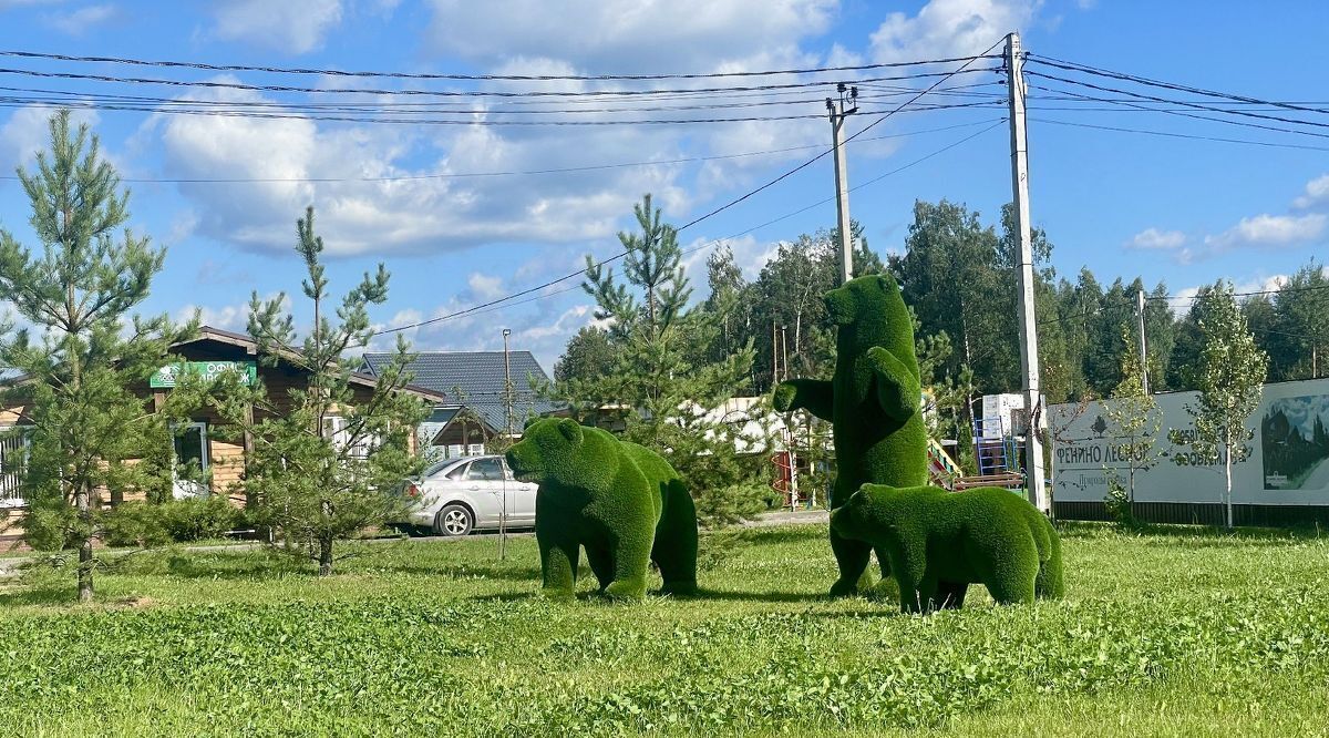 земля городской округ Раменский Фенино Лесное кп фото 15