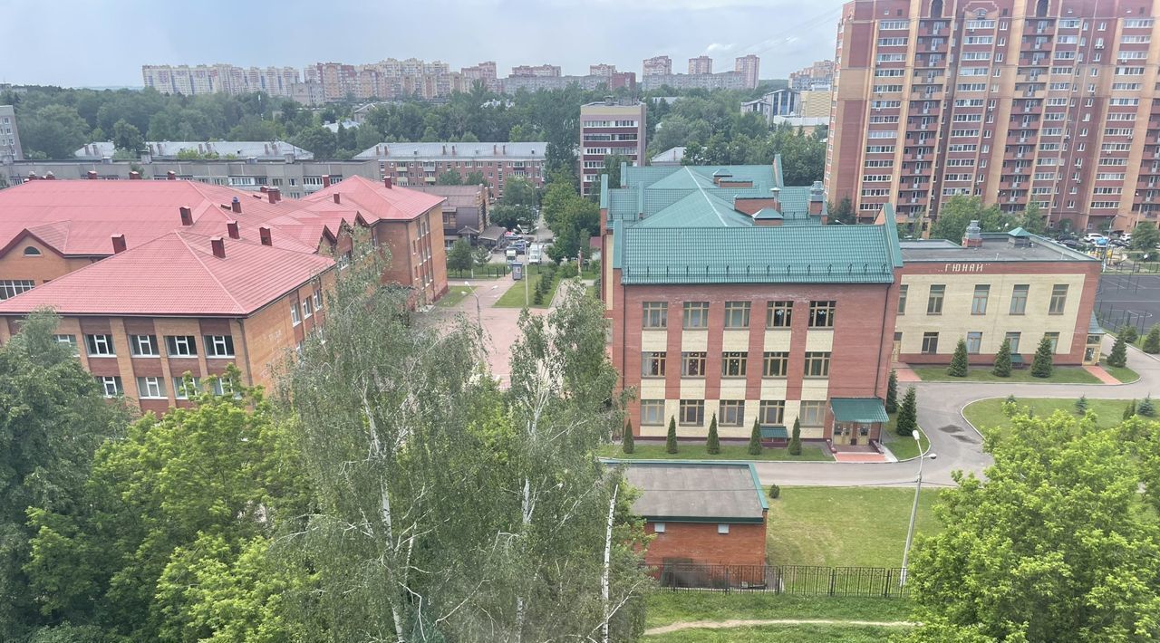 квартира г Домодедово Центрального, ул. Корнеева, 38 фото 3