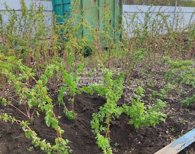 земля г Октябрьский городской округ Октябрьский, СНТ Ик-3 фото 7