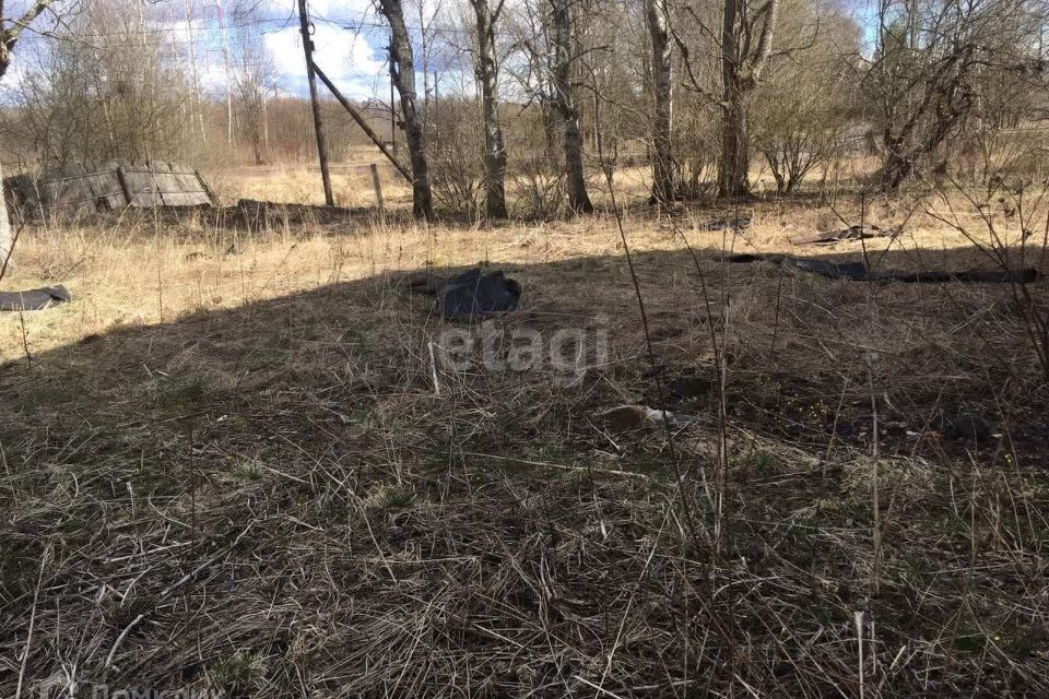 дом р-н Зубцовский деревня Карамзино Вазузское сельское поселение фото 10