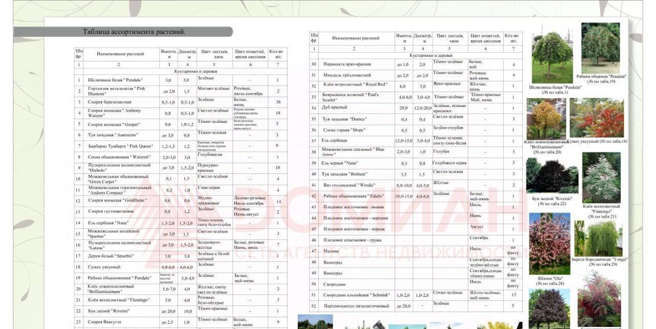 дом р-н Октябрьский х Калинин ул Юности 15 Бессергеневское с/пос фото 12