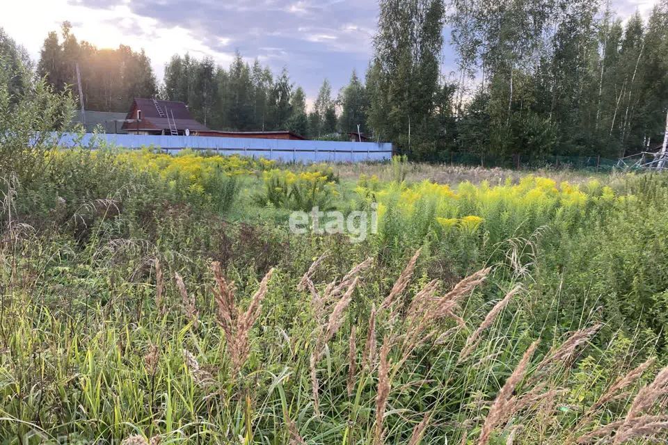 земля р-н Гатчинский городской посёлок Вырица фото 2