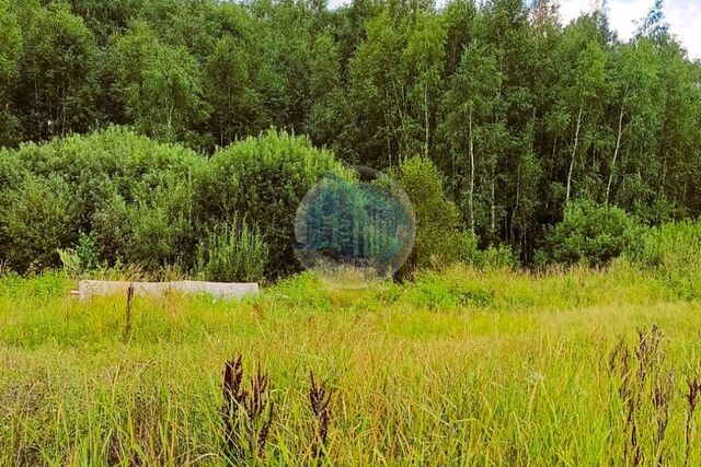 Коттеджный посёлок Бор, городской округ Домодедово фото