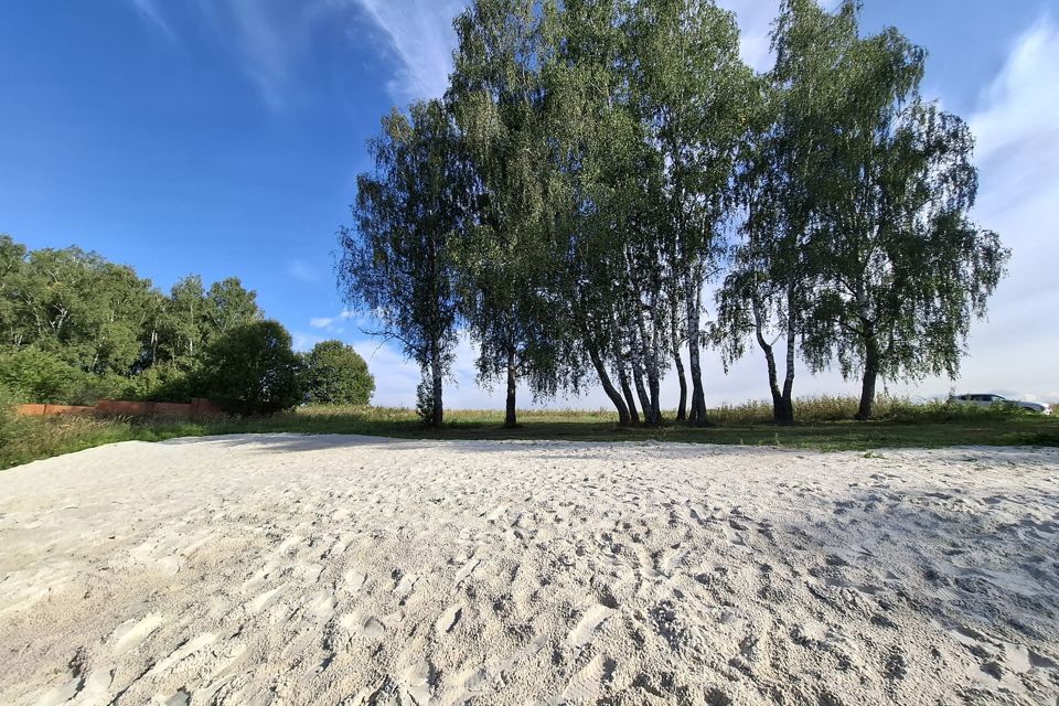 земля городской округ Домодедово деревня Барыбино фото 1