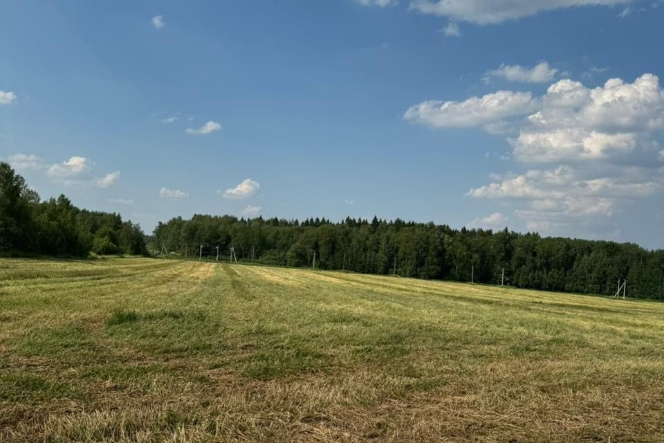 земля городской округ Пушкинский Жюльверн фото 3