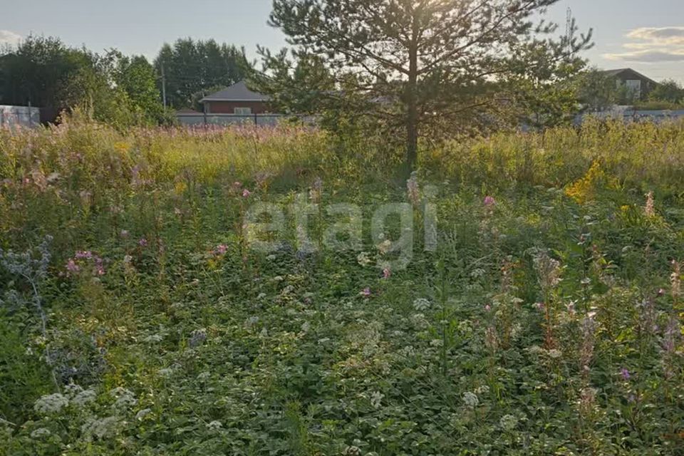 земля г Уфа р-н Орджоникидзевский городской округ Уфа, СНТ Калинка фото 1