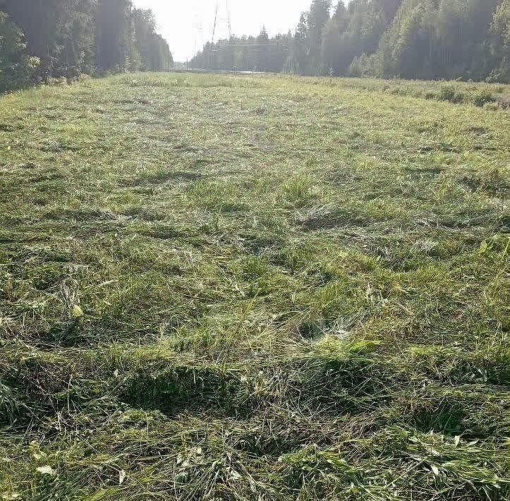 земля г Одинцово снт Водолей 15, Одинцовский городской округ фото 3