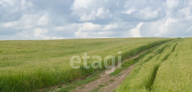 ул Садовая фото