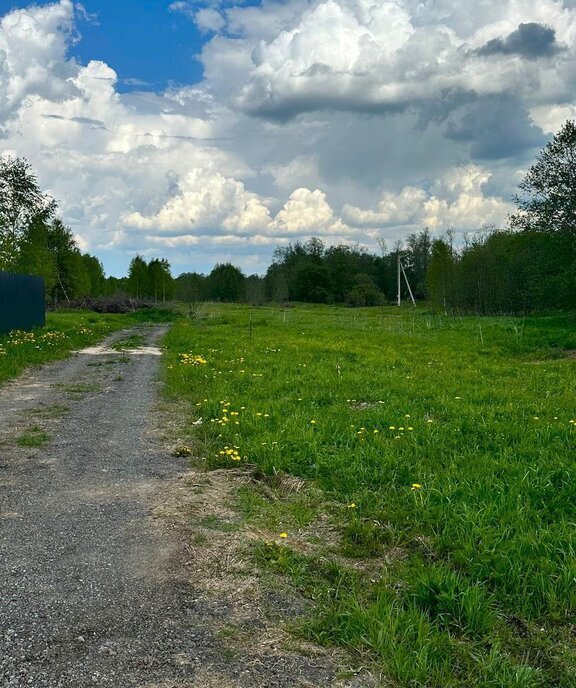 земля городской округ Наро-Фоминский д Настасьино фото 12