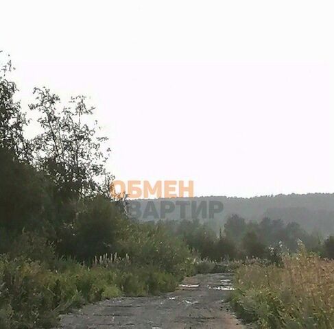 п Полеводство р-н Чкаловский Чкаловская муниципальное образование фото