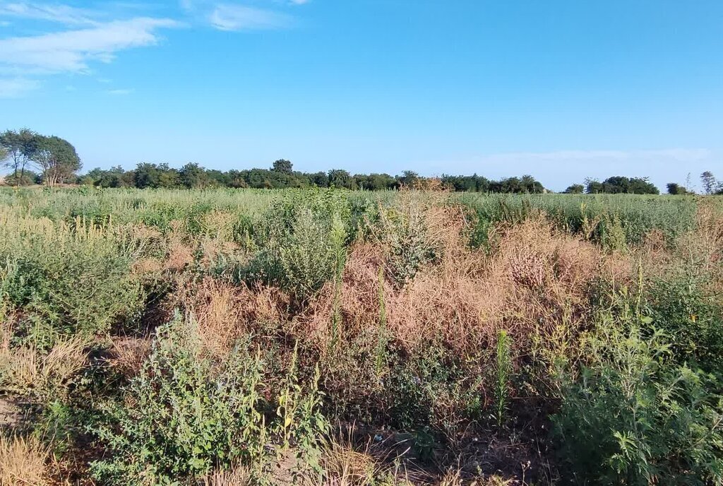 земля г Краснодар р-н Прикубанский Школьный микрорайон ул Школьная фото 3