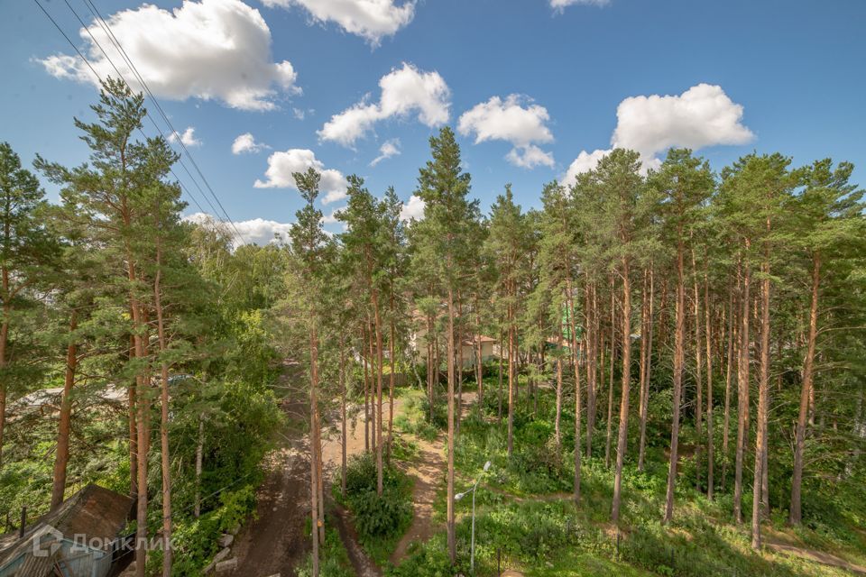 квартира г Екатеринбург Академический Екатеринбург, улица Анатолия Муранова, 18, муниципальное образование фото 3