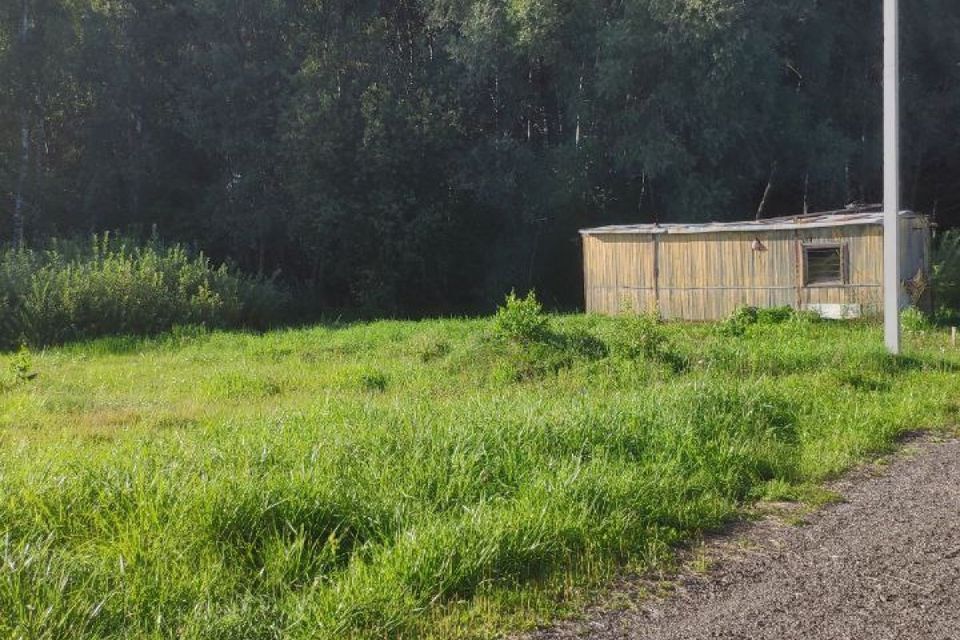 земля городской округ Красногорск садоводческое некоммерческое товарищество Награда фото 5