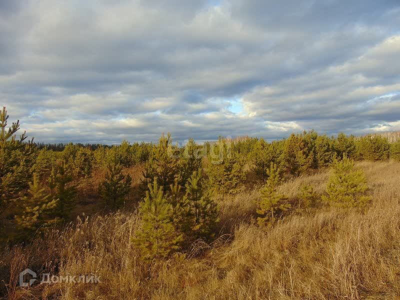 земля р-н Каслинский фото 2