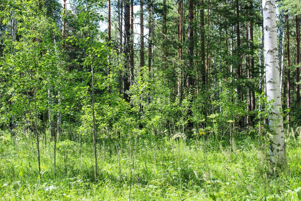 земля Полевской городской округ, село Курганово фото 8