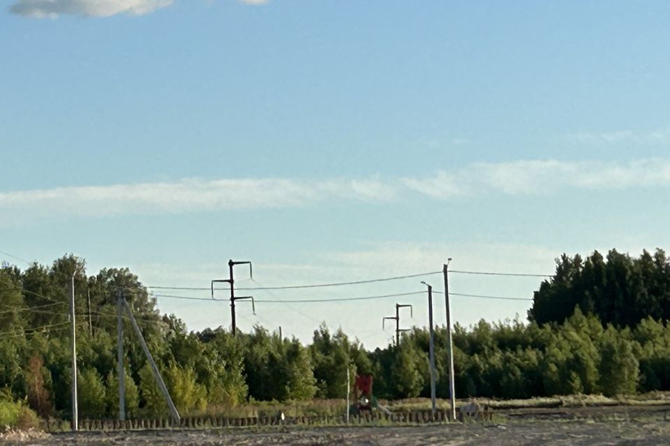 земля городской округ Бор, Бор фото 10