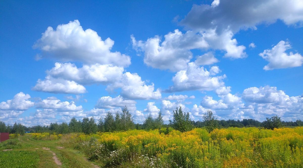 земля р-н Новгородский с Бронница ул Рябиновая Бронницкое с пос фото 3