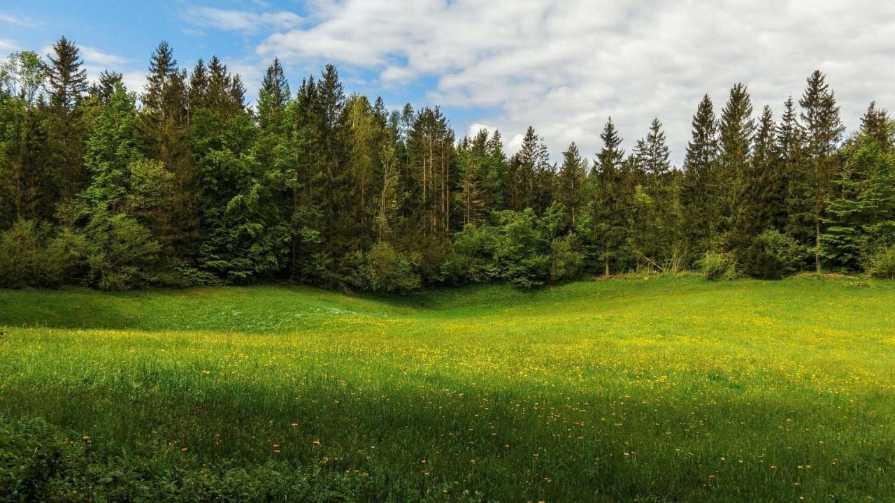 земля р-н Белоярский п Гагарский ул 3-я Парковая Южный управленческий округ, Заречный фото 2