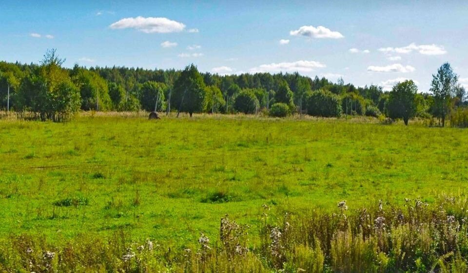 земля городской округ Дмитровский коттеджный поселок «Сорочаны» городской округ Клин фото 1