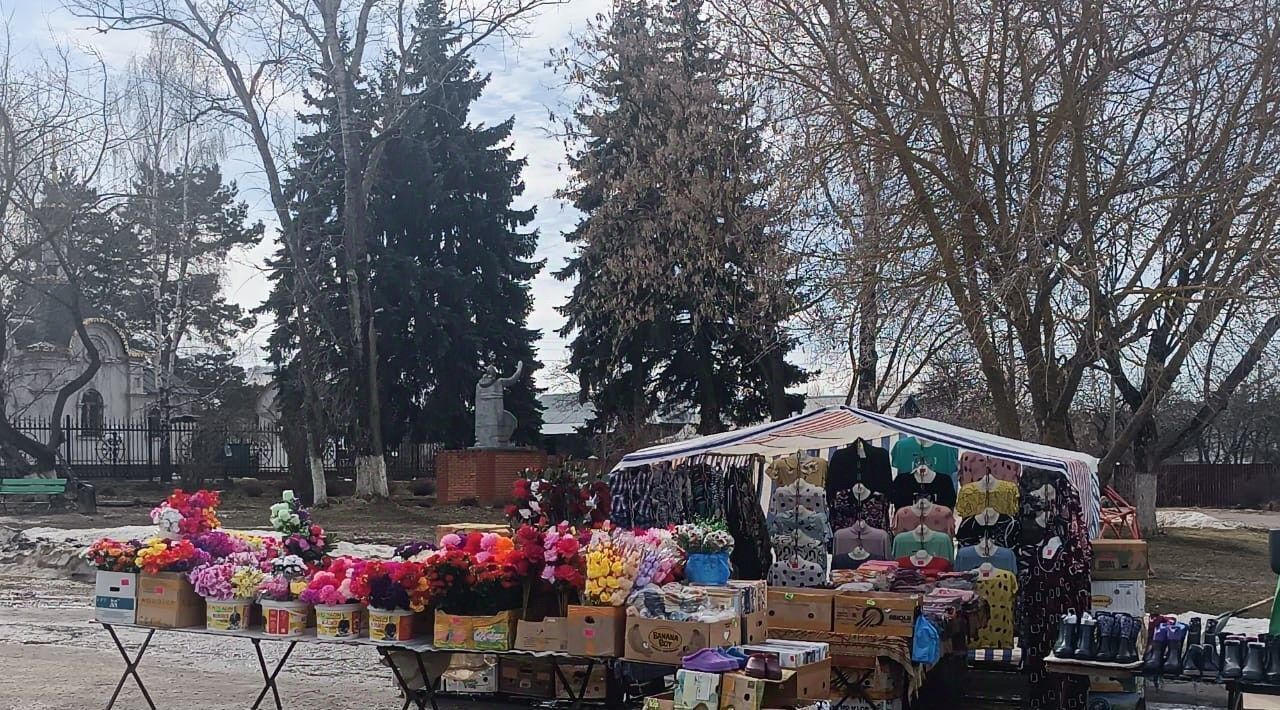 земля городской округ Ступино с Старое днп терБалакирево фото 10